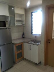 Dunman View (D15), Condominium #517069751